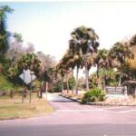 Myakka River State Park are both jewels in Sarasota county’s commitment to the wild areas of the county. The county has attempted to buffer these State Parks with smaller, but crucial, county parks, and has created several wonderful wildlife – rich habitats just minutes from suburbia.